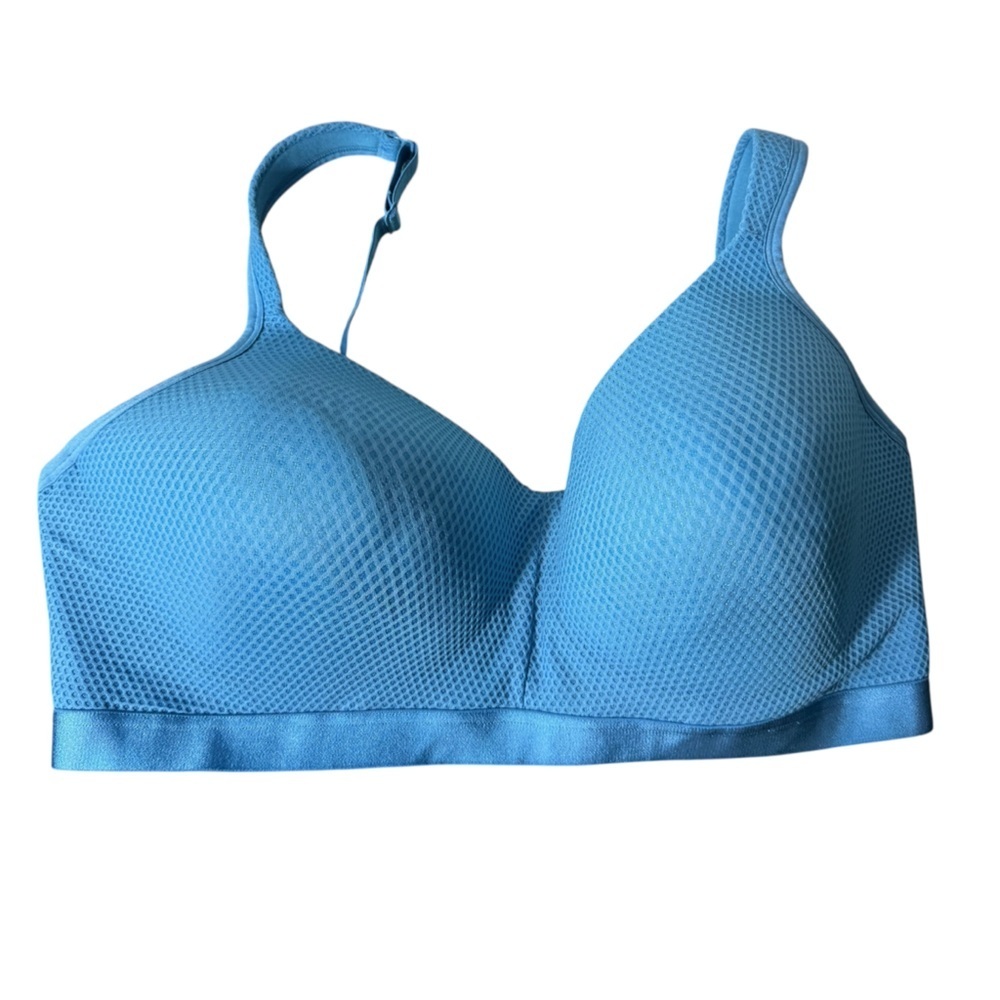 Pennington's ti Voglio Blue Bra Size 40DD